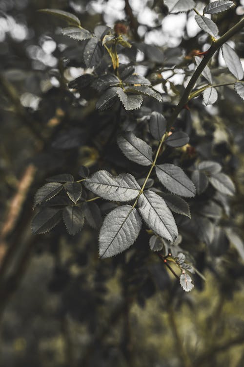 Fotobanka s bezplatnými fotkami na tému abstraktný, bezproblémový, blízky