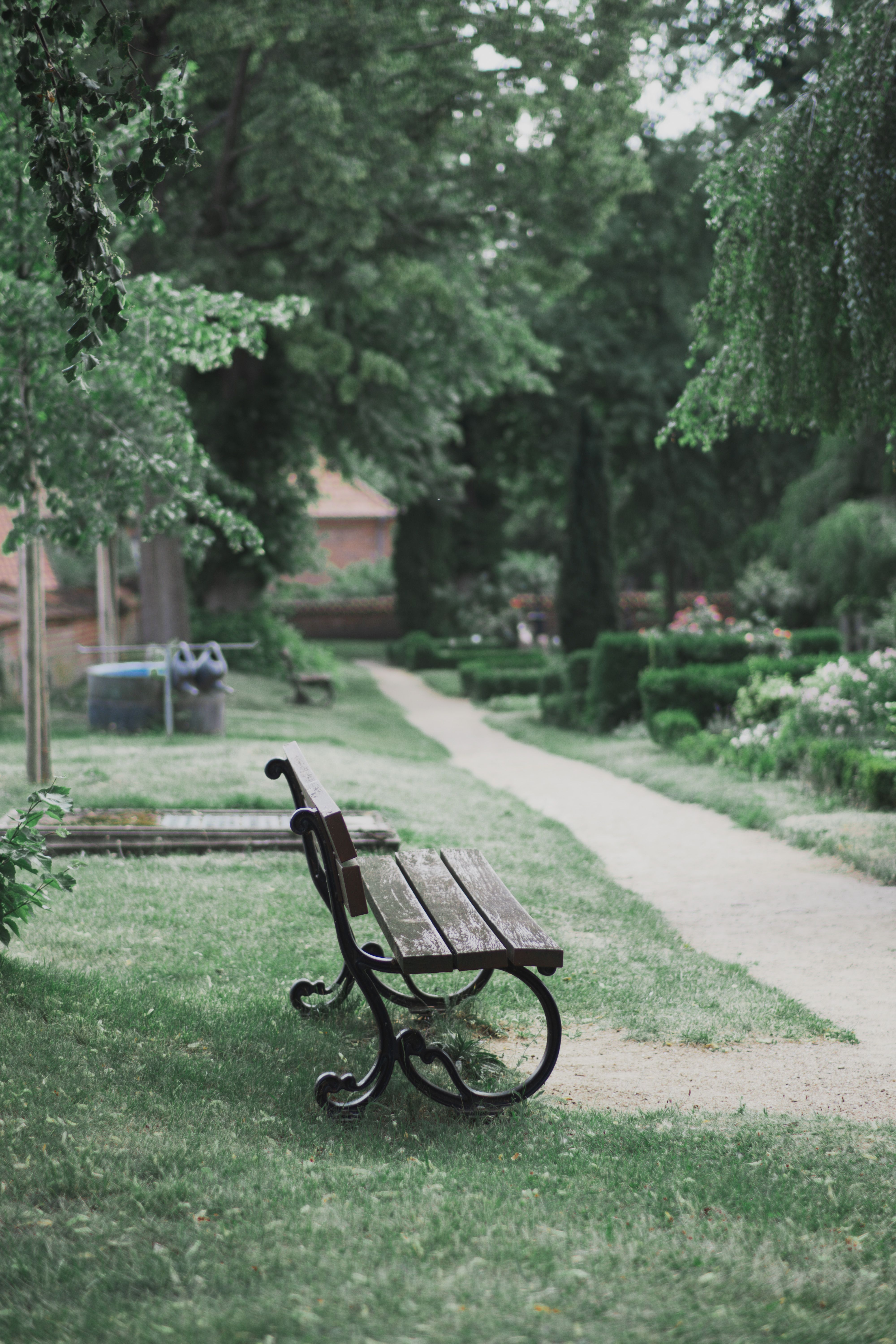 Empty Bench by Path in Park · Free Stock Photo