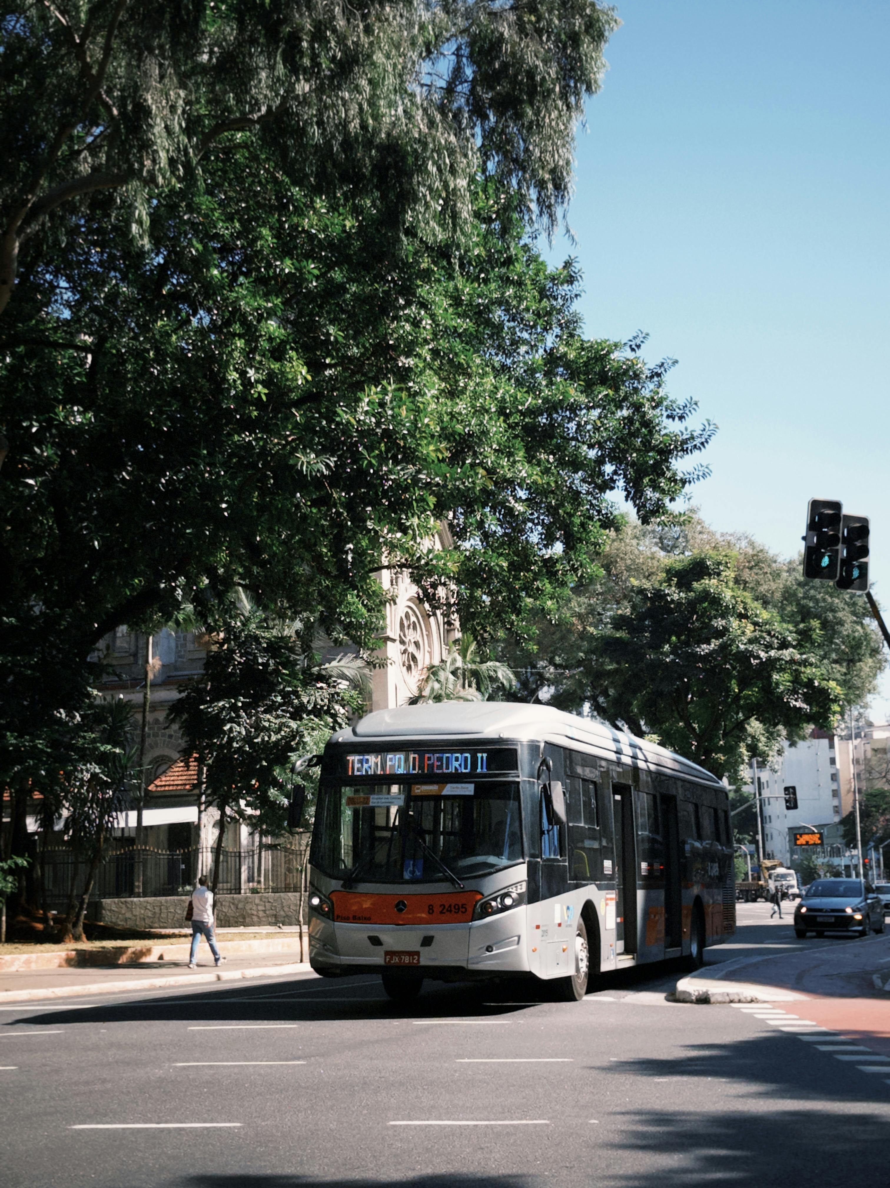 A public bus navigates a sunny city street in São Paulo, surrounded by lush greenery and iconic urban architecture.