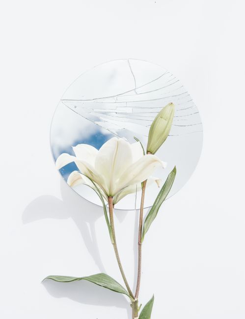 A white lily in front of a broken mirror, reflecting the sky. Minimalist floral art.