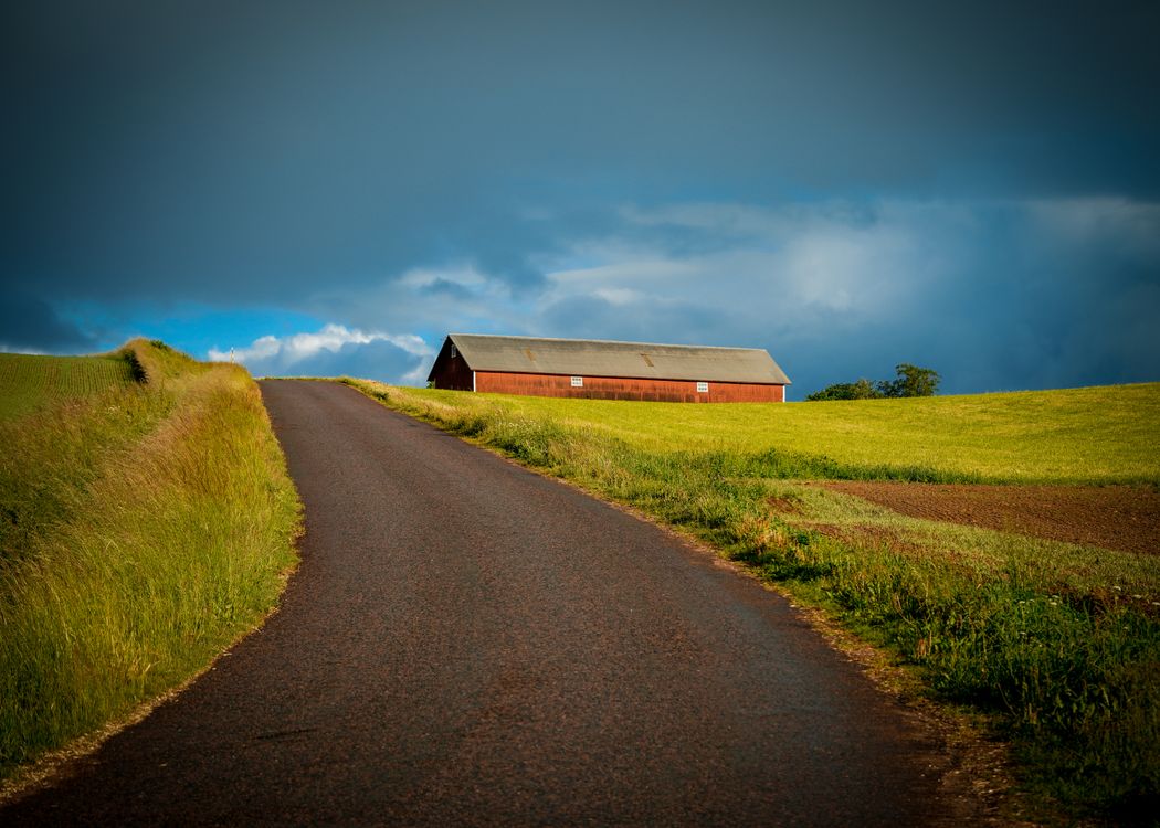Barn Path Road towards Barn at Farm · Free Stock Photo