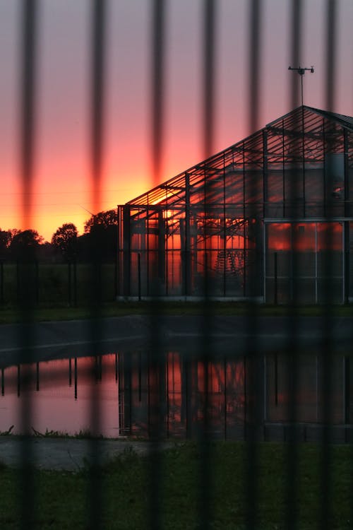 Fotobanka s bezplatnými fotkami na tému sunroom