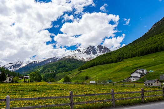 Explore the picturesque landscape of Livigno, Italy with snow-capped mountains, lush meadows, and charming village houses.