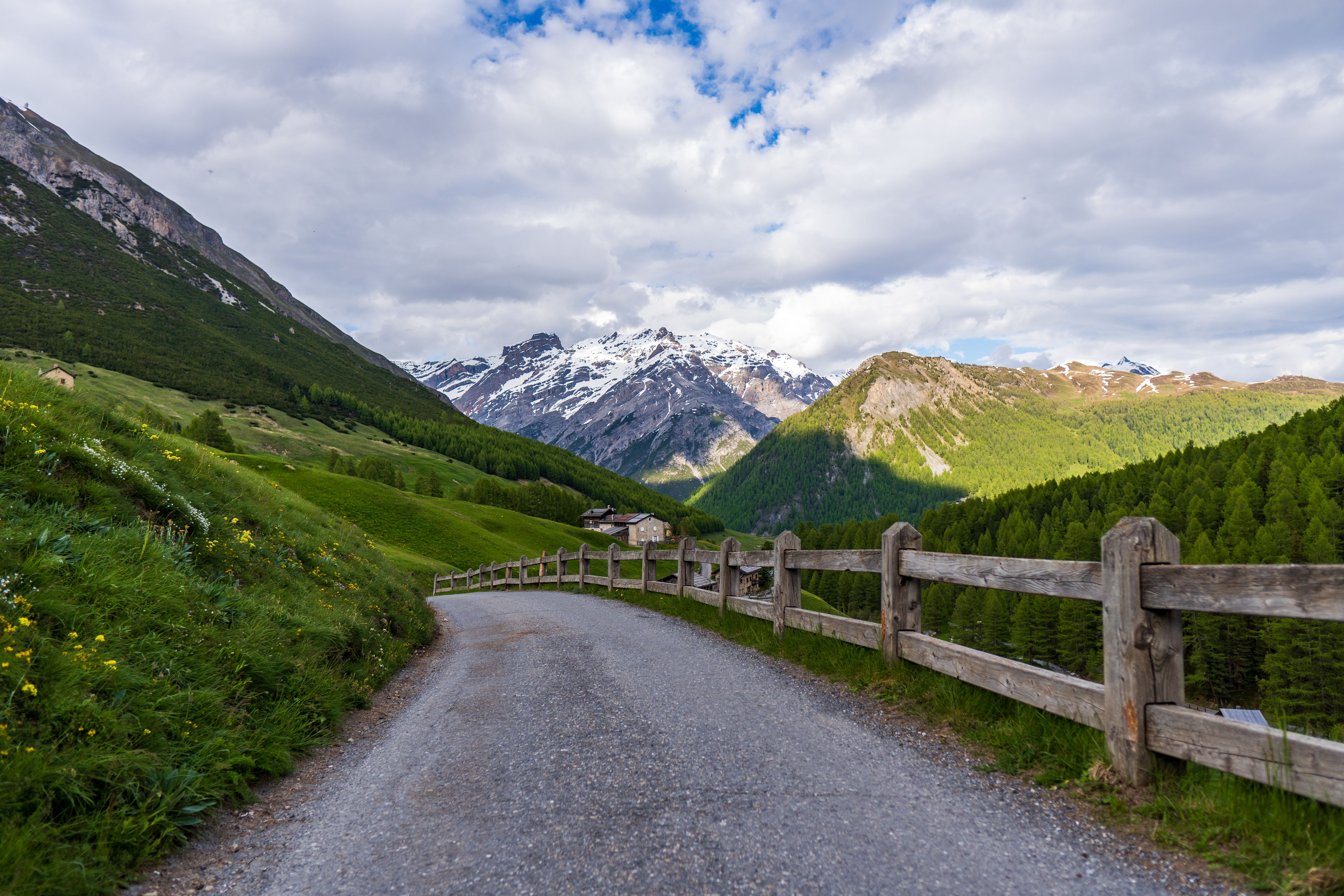 Car rental Italy vs private transfers: Your Best Option