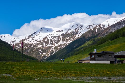 Beautiful view of Livigno, Italy, featuring snow-capped mountains and lush greenery in a serene village setting.