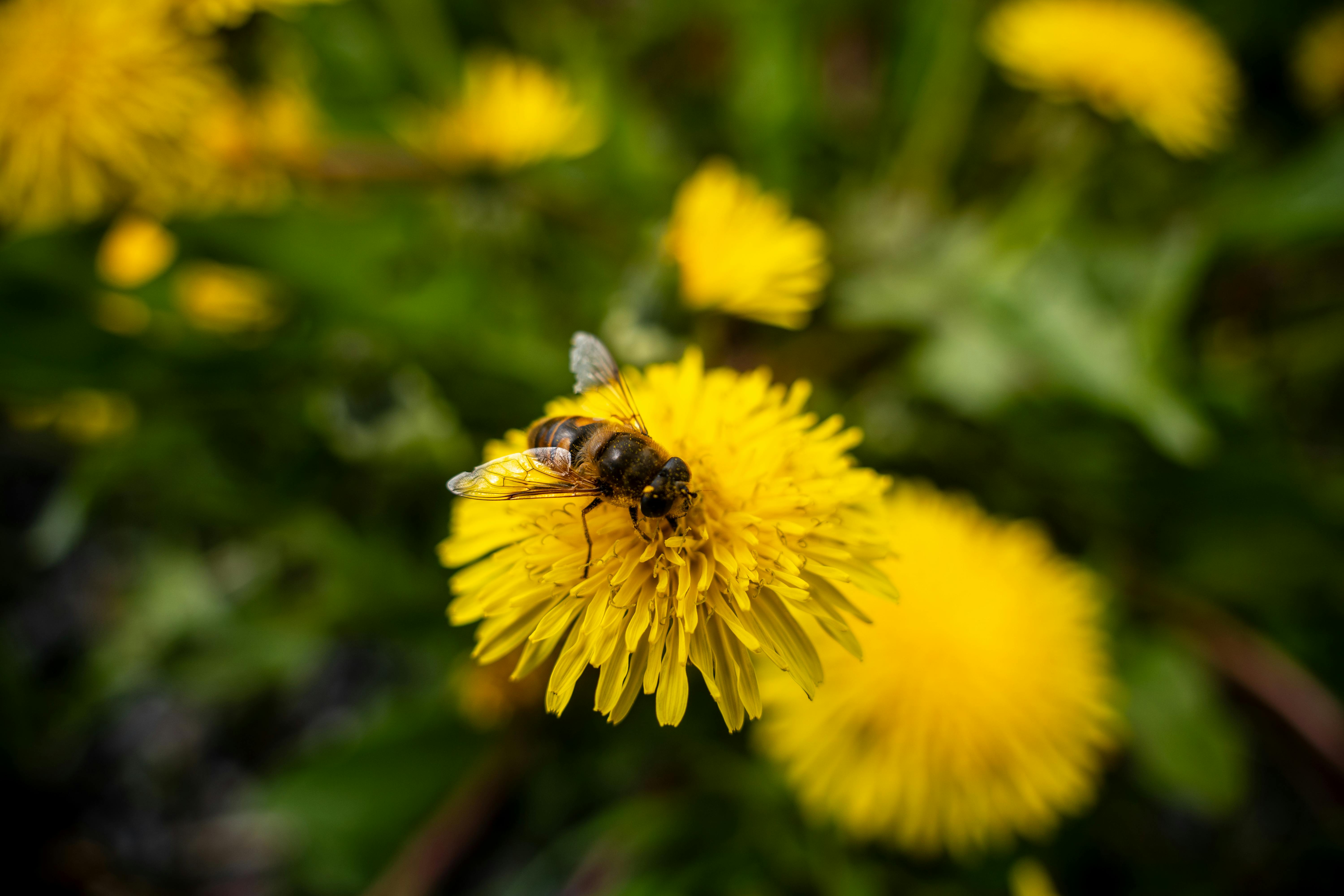 ## Scaling Your API Ecosystem