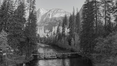 Free stock photo of black and white, bridge, drone