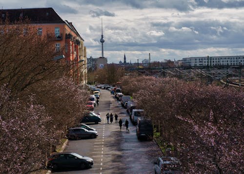 베를린, 보른 홀머 거리, 보른홀머의 무료 스톡 사진