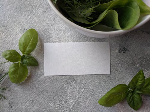 Green Leaves on White Ceramic Bowl