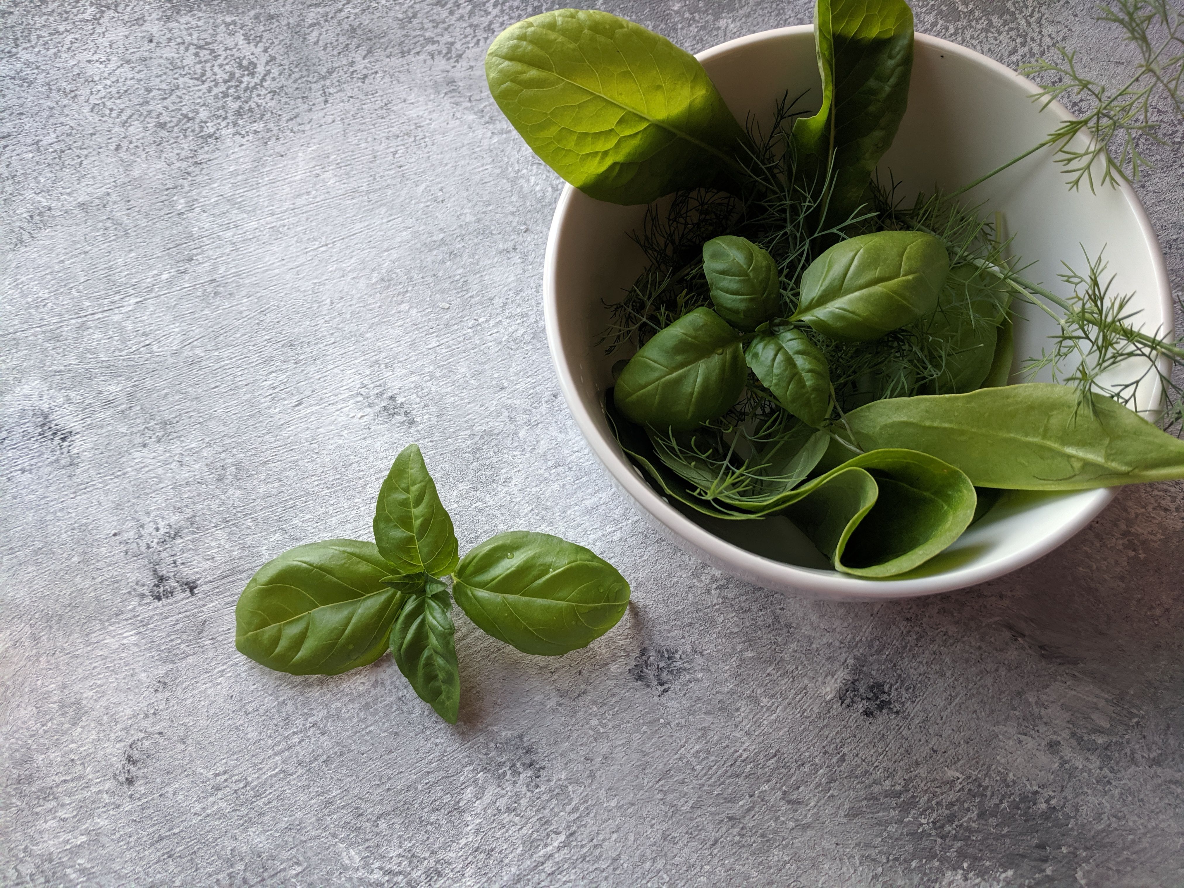 A high-angle shot of fresh basil and spinach leaves in a ceramic bowl on a gray surface.