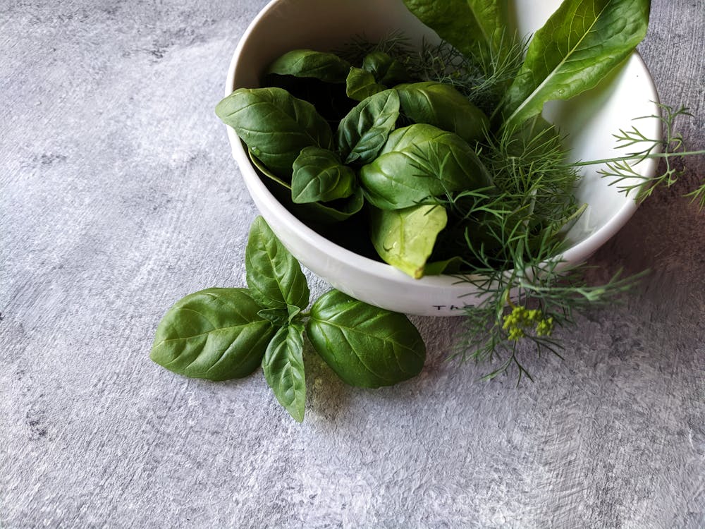 Basil Leaves in Bowl