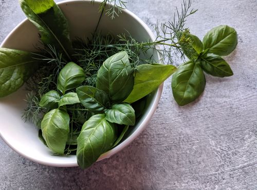 Free Aromatic basil, spinach, and dill in a white ceramic bowl on a gray surface. Perfect for culinary use. Stock Photo