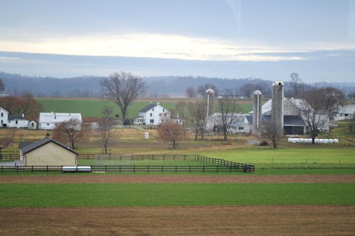Farmland - Lancaster, Pennsylvania