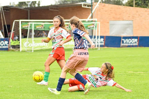 Fotos de stock gratuitas de adulto, bola, campeonato