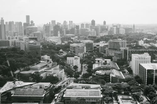 Bird's Eye View Of City During Dayitme