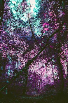 这片超现实的森林，以鲜艳的紫色叶子和低角度的景色，营造出梦幻般的氛围
