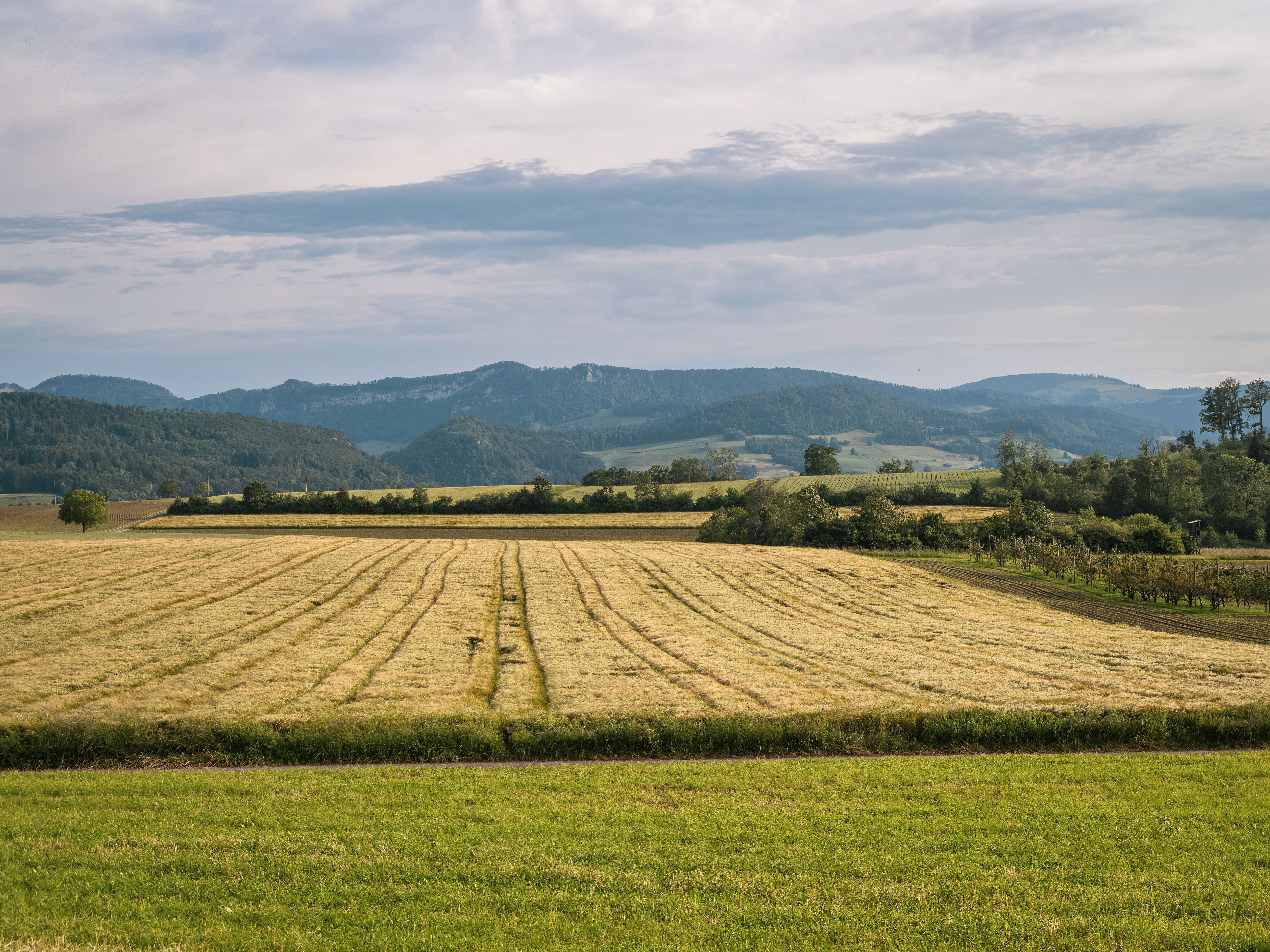 A view of a farm field with hills in the background · Free Stock Photo