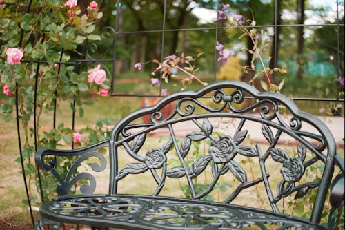Základová fotografie zdarma na téma růžová zahrada, venkovní, židle