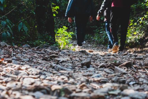 Free People walking on a rocky forest trail in Islamabad, showcasing nature's serene beauty. Stock Photo