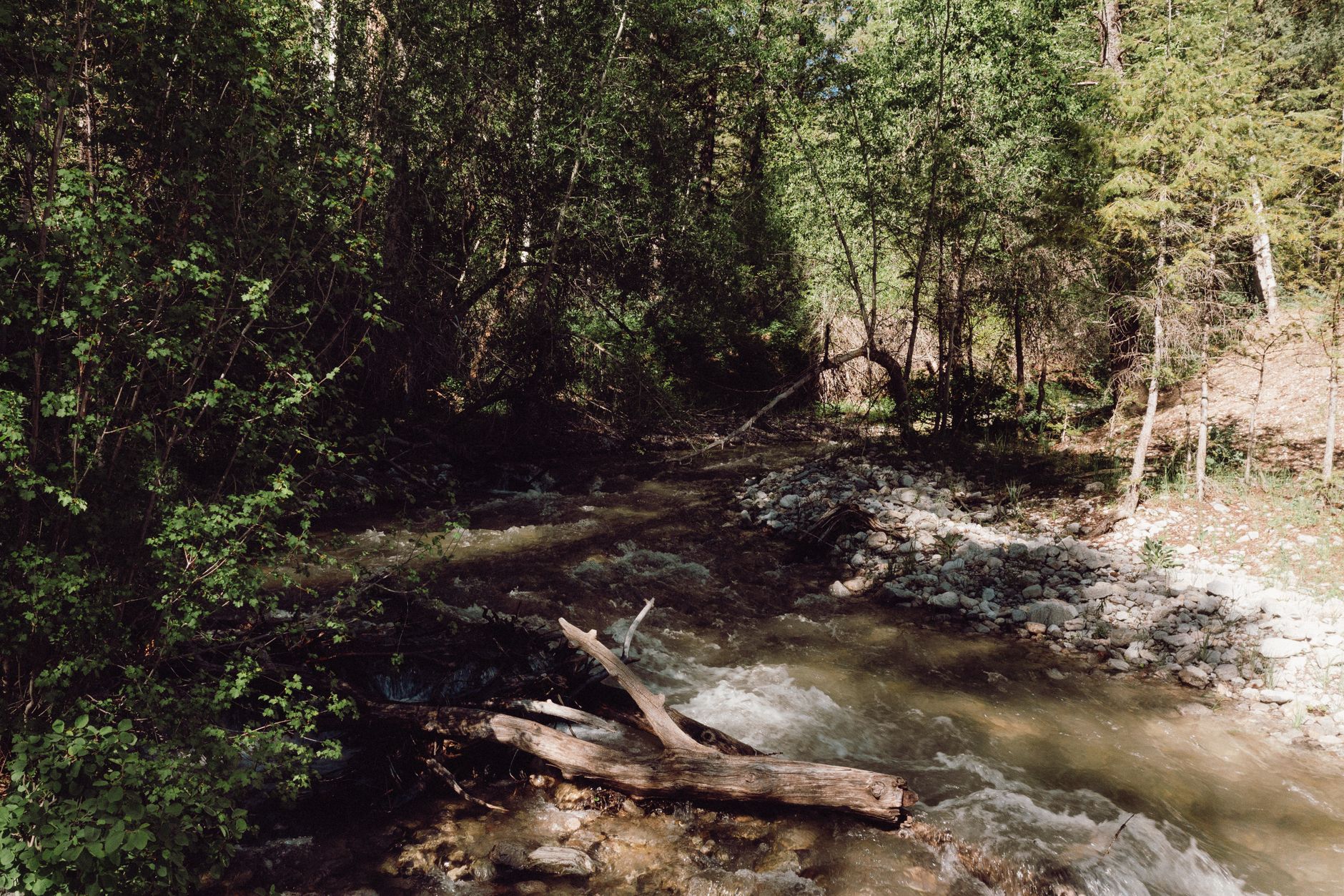 Nine Mile Run: Pittsburgh's stream restoration hiding in the open