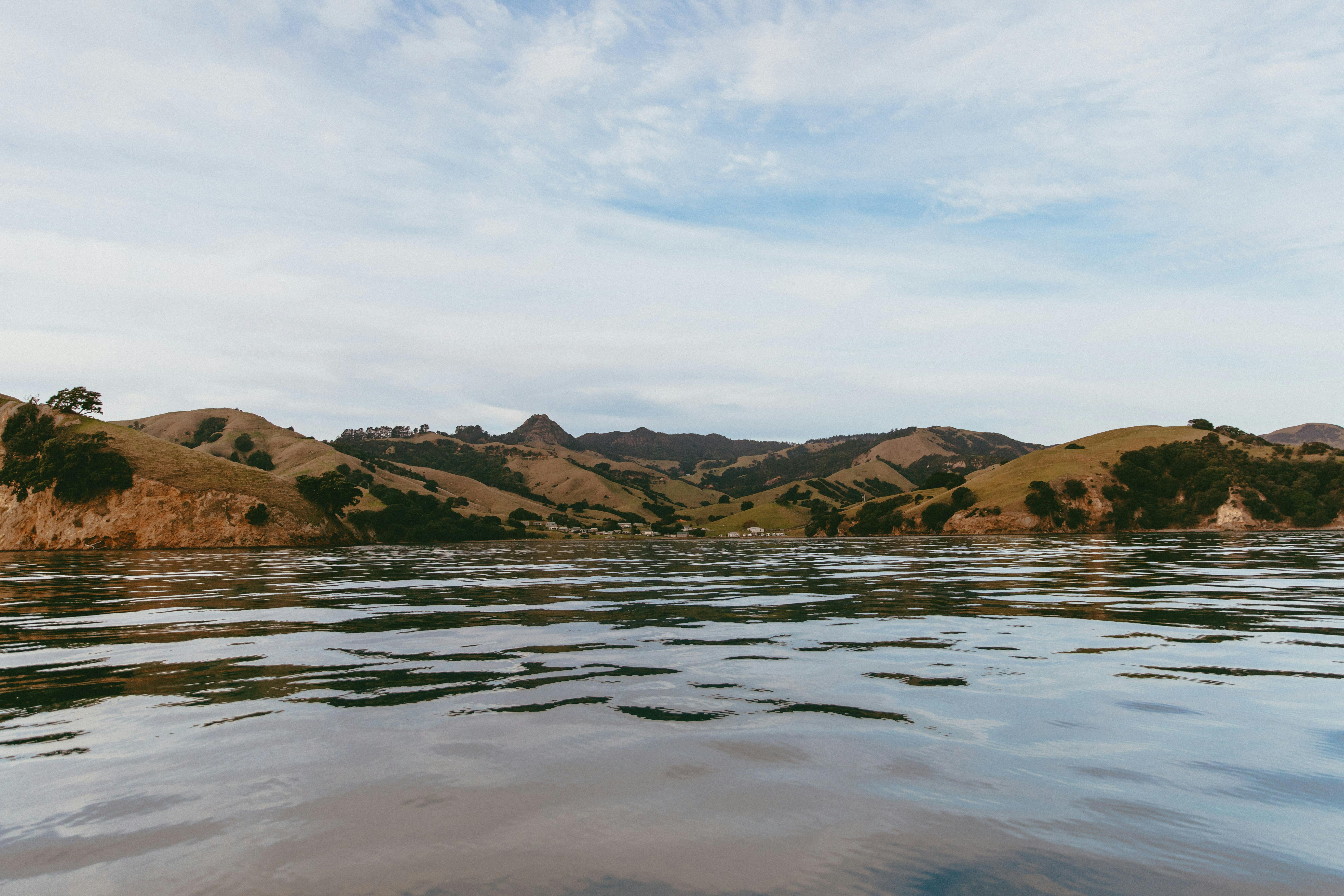 Tips for Campervan Travel: New Zealand — Photo by Petra Reid on Pexels