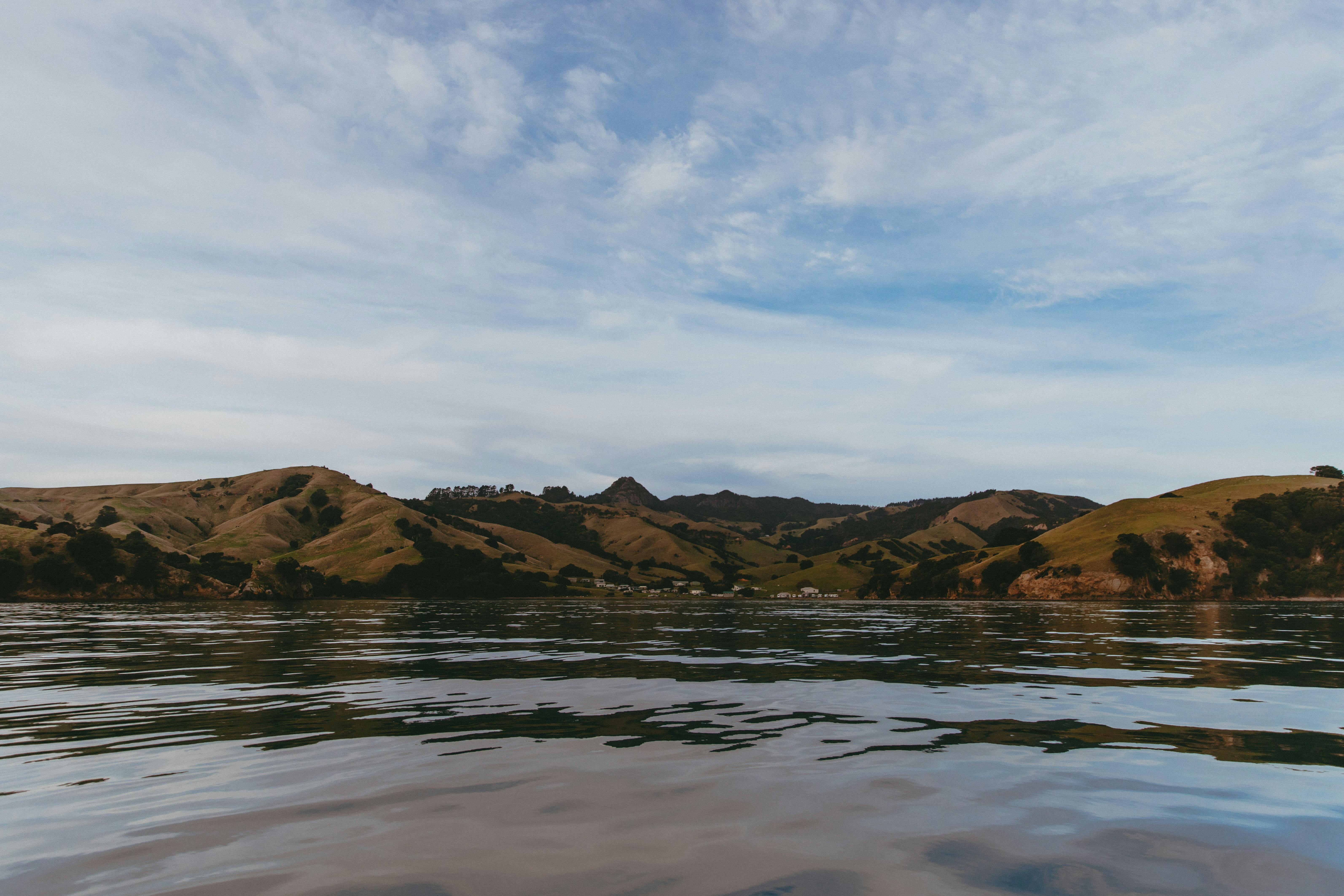 general travel new zealand — Photo by Petra Reid on Pexels