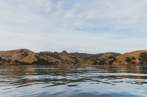 Free Explore the serene coastline of Kereta in Waikato, New Zealand, featuring rolling hills and tranquil waters. Stock Photo