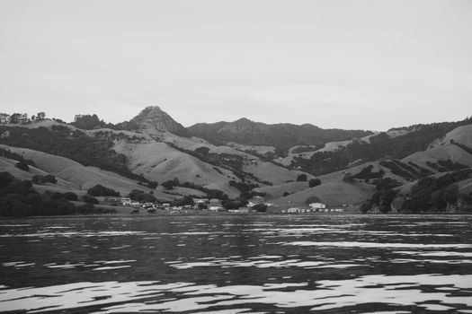 Black and white view of a coastal village in Kereta, Waikato, New Zealand.