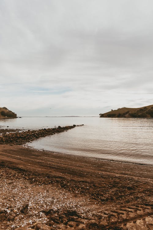 Free stock photo of batch, beach, coromandel