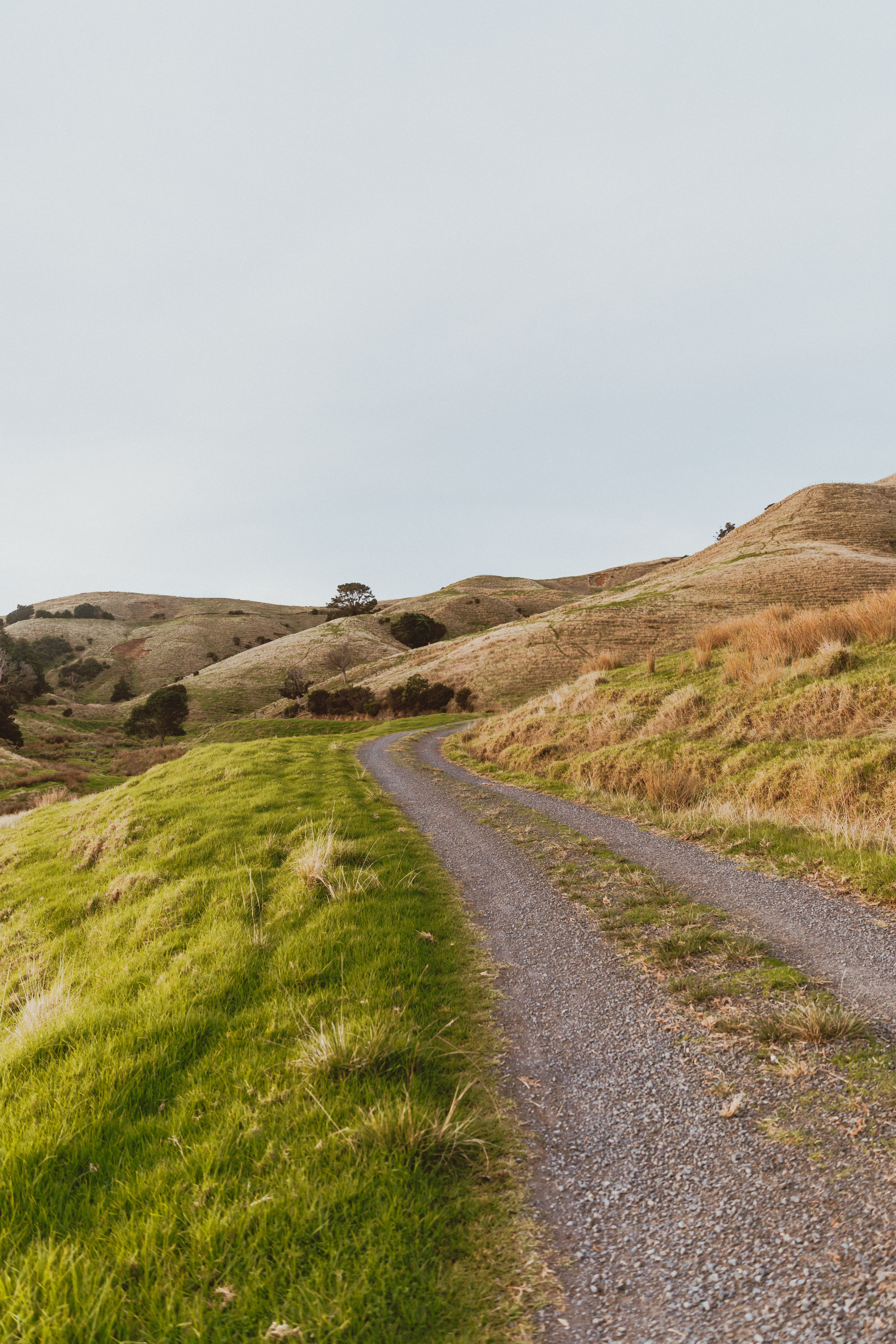 Beyond the Jump: Exploring New Zealand's Adventure Scene