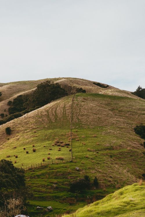 Free Beautiful rural landscape showcasing the hills of Kereta, Waikato, New Zealand. Stock Photo