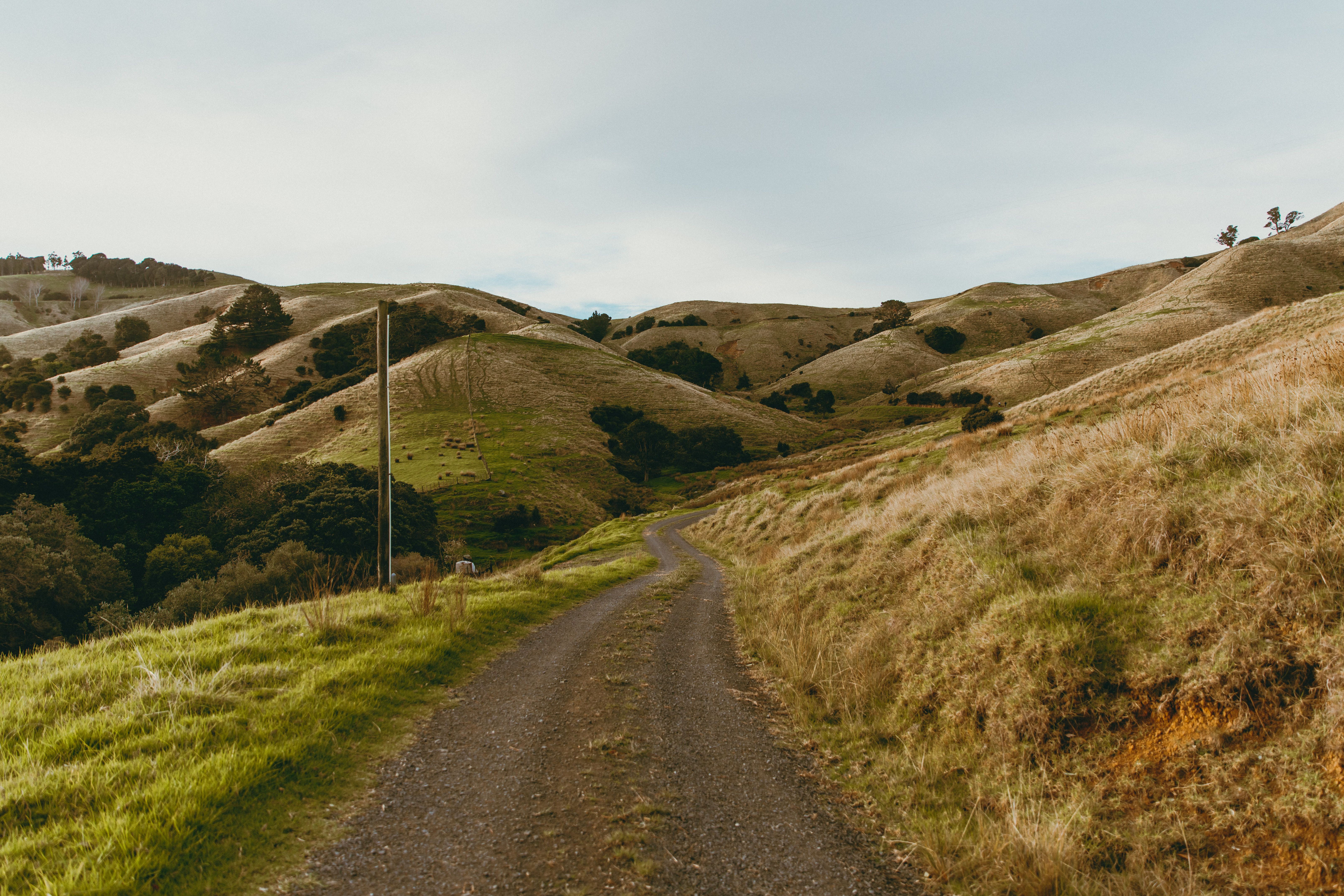 Te Kauwhata, Waikato