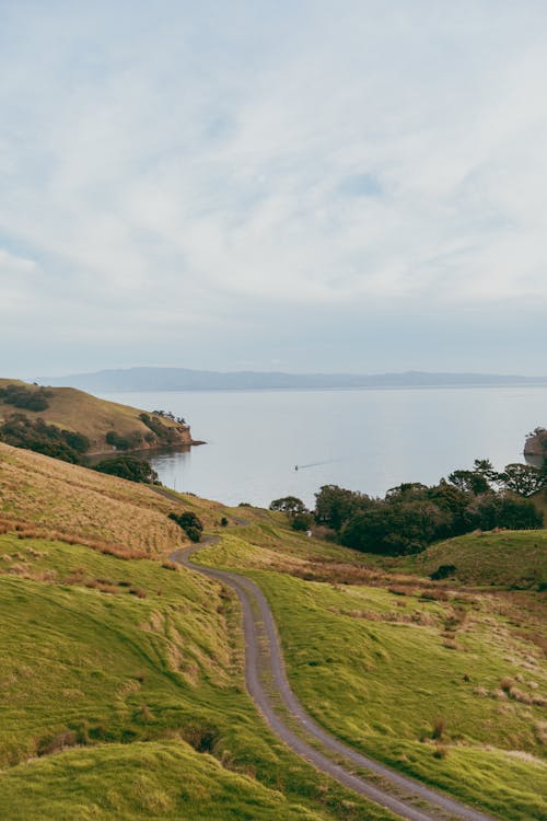 Бесплатное стоковое фото с coromandel, вайкато, Вайкато Новая Зеландия