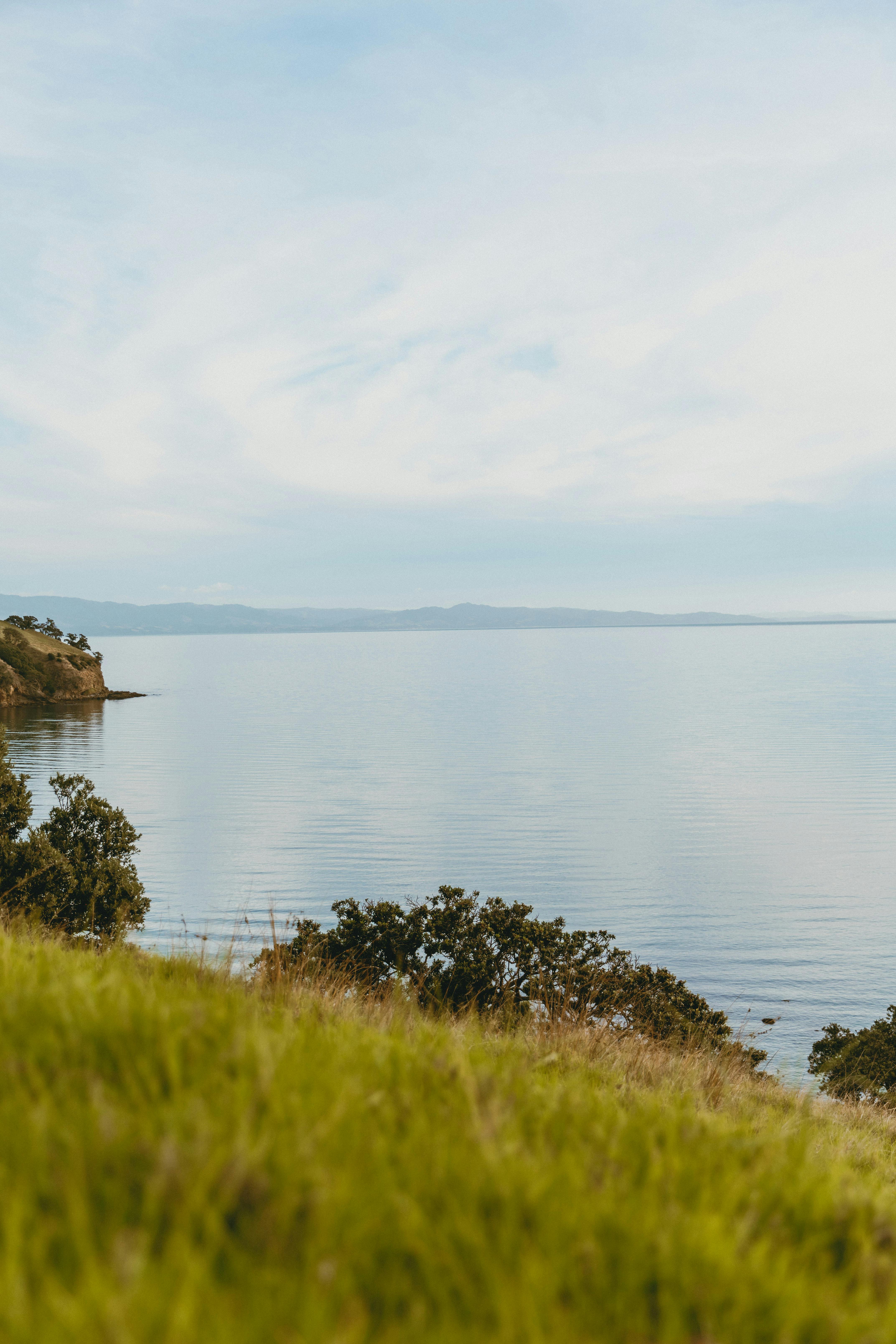 Peaceful coastal scene in Kereta, Waikato, showcasing lush grass and ocean view under an overcast sky.