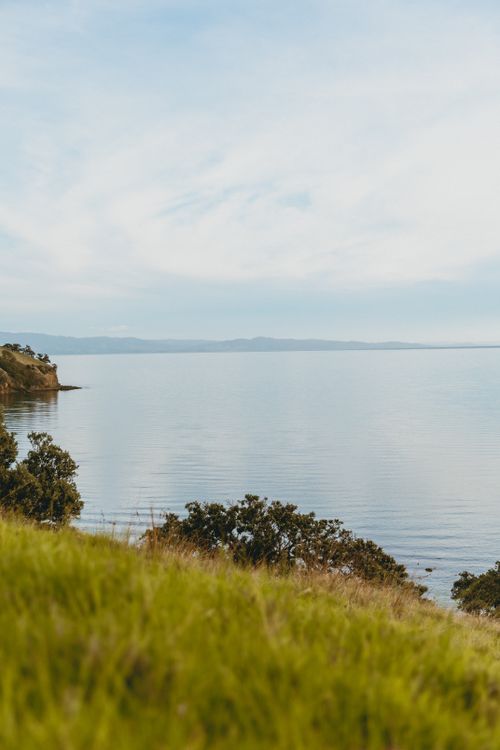 Free Peaceful coastal scene in Kereta, Waikato, showcasing lush grass and ocean view under an overcast sky. Stock Photo