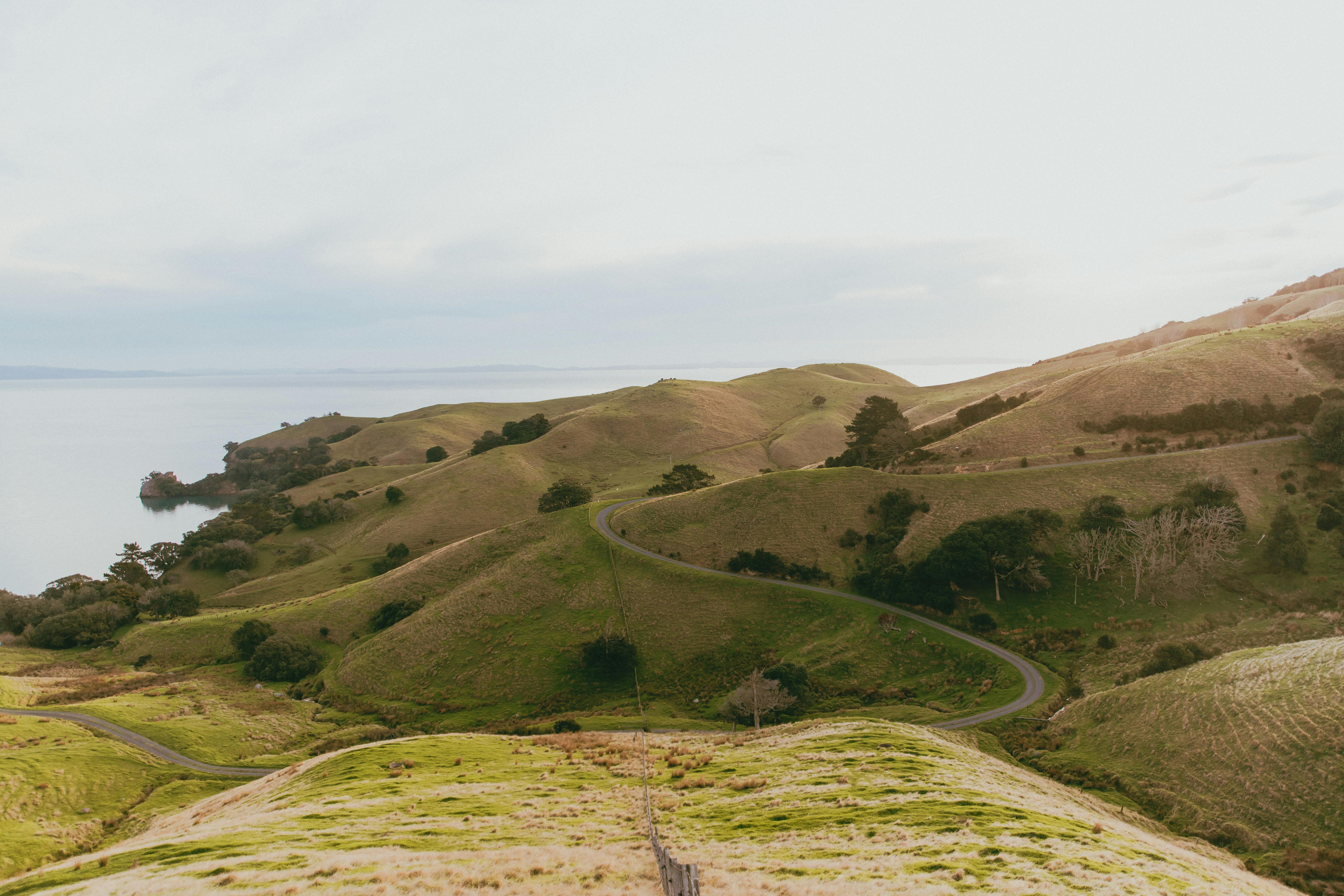 Tips for Campervan Travel: New Zealand — Photo by Petra Reid on Pexels