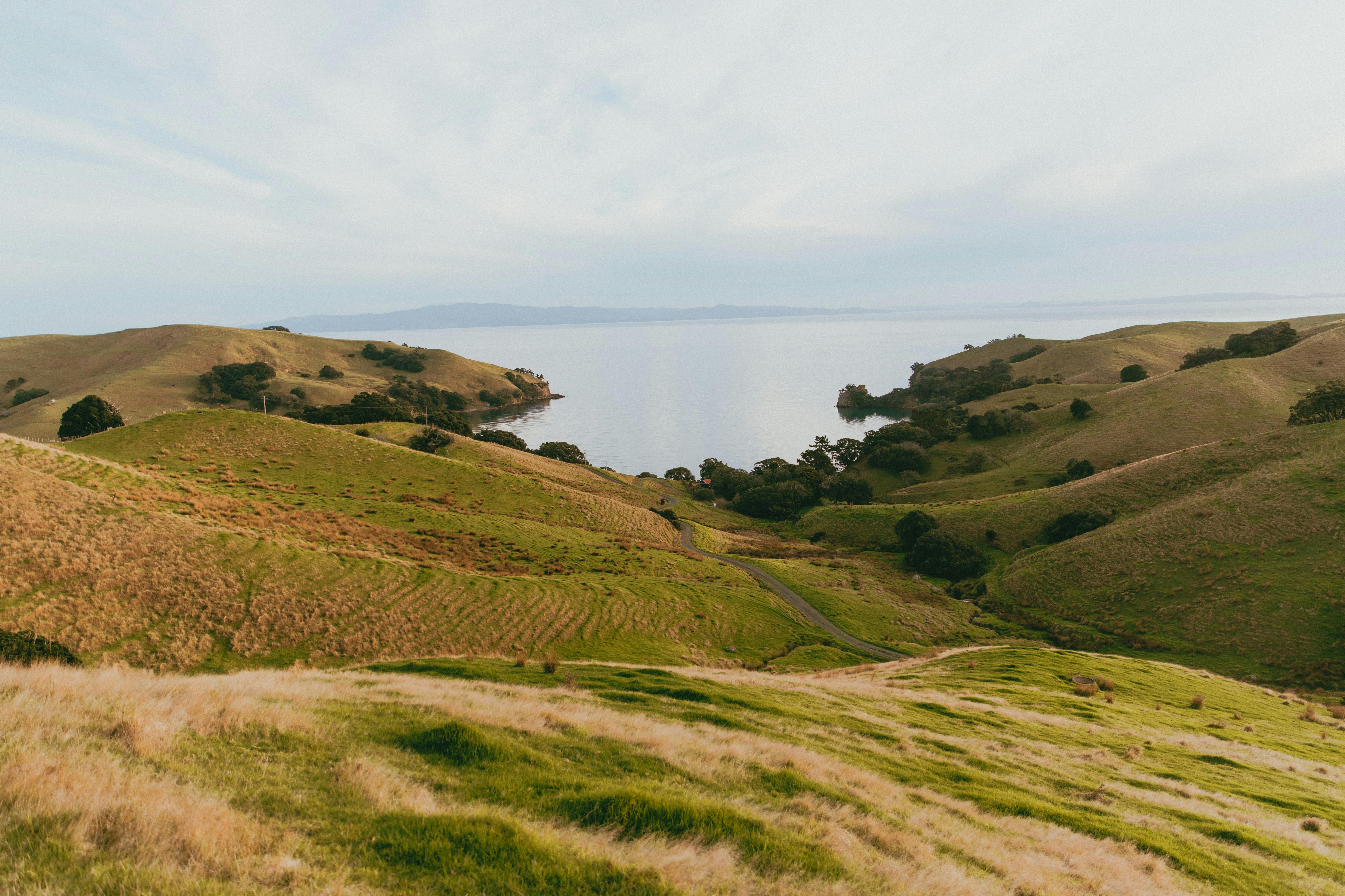 General Travel New Zealand hosts Indian travel agents on experiential famil — Photo by Petra Reid on Pexels