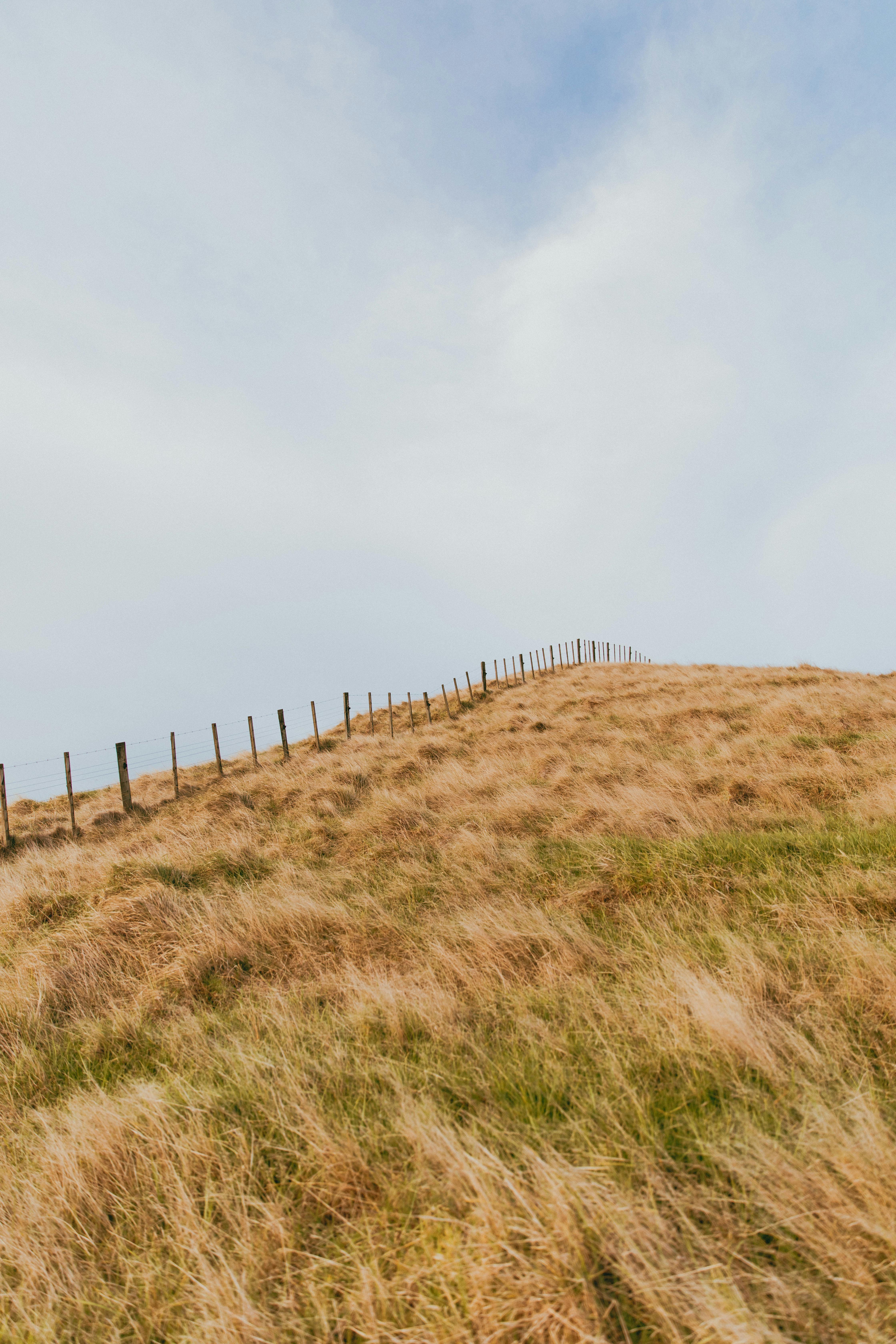 Serene landscape of rolling hills under a cloudy sky in Kereta, Waikato, New Zealand.