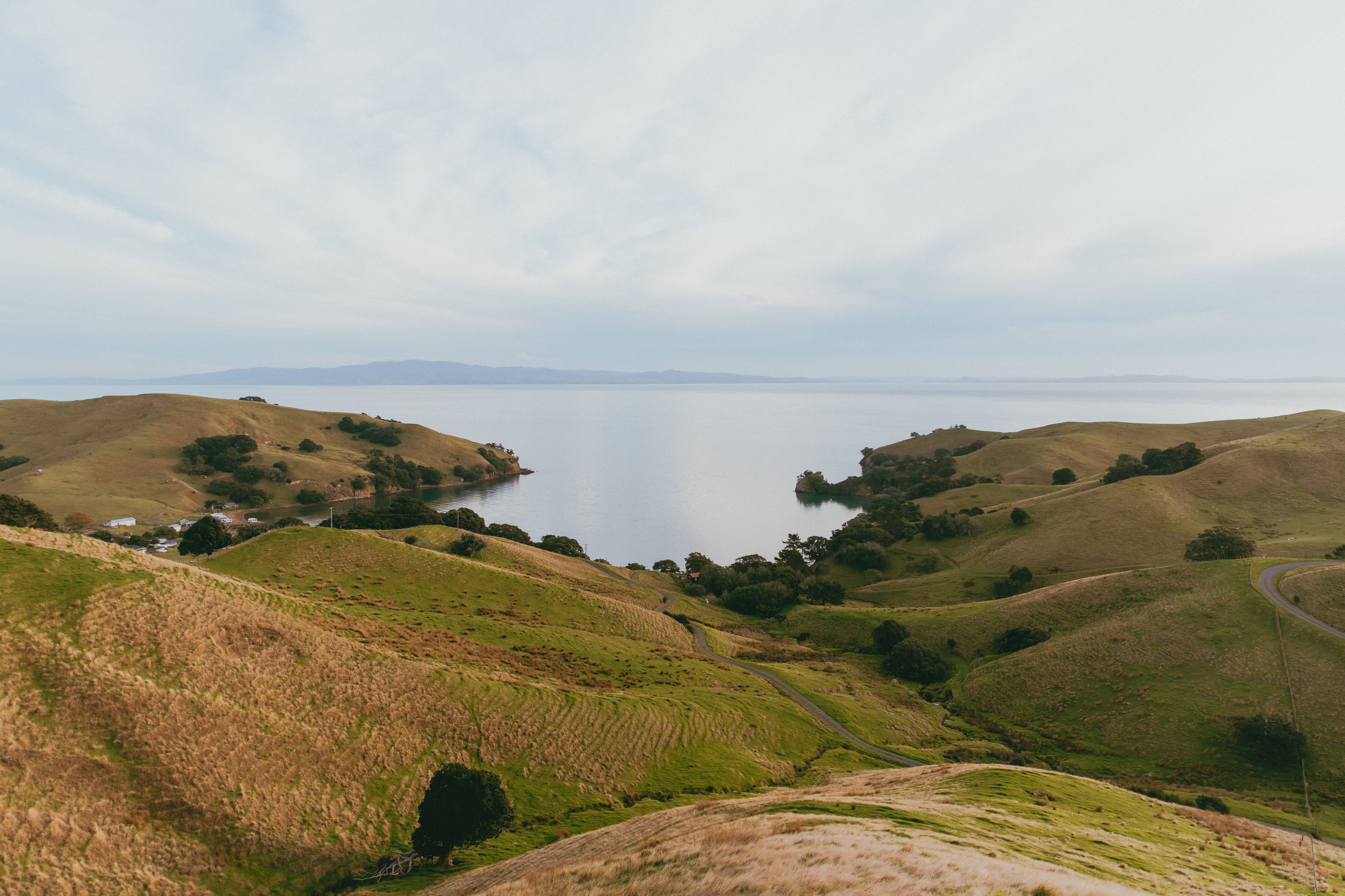 Tips for Campervan Travel: New Zealand — Photo by Petra Reid on Pexels