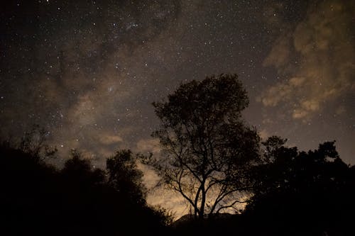 Free stock photo of sky