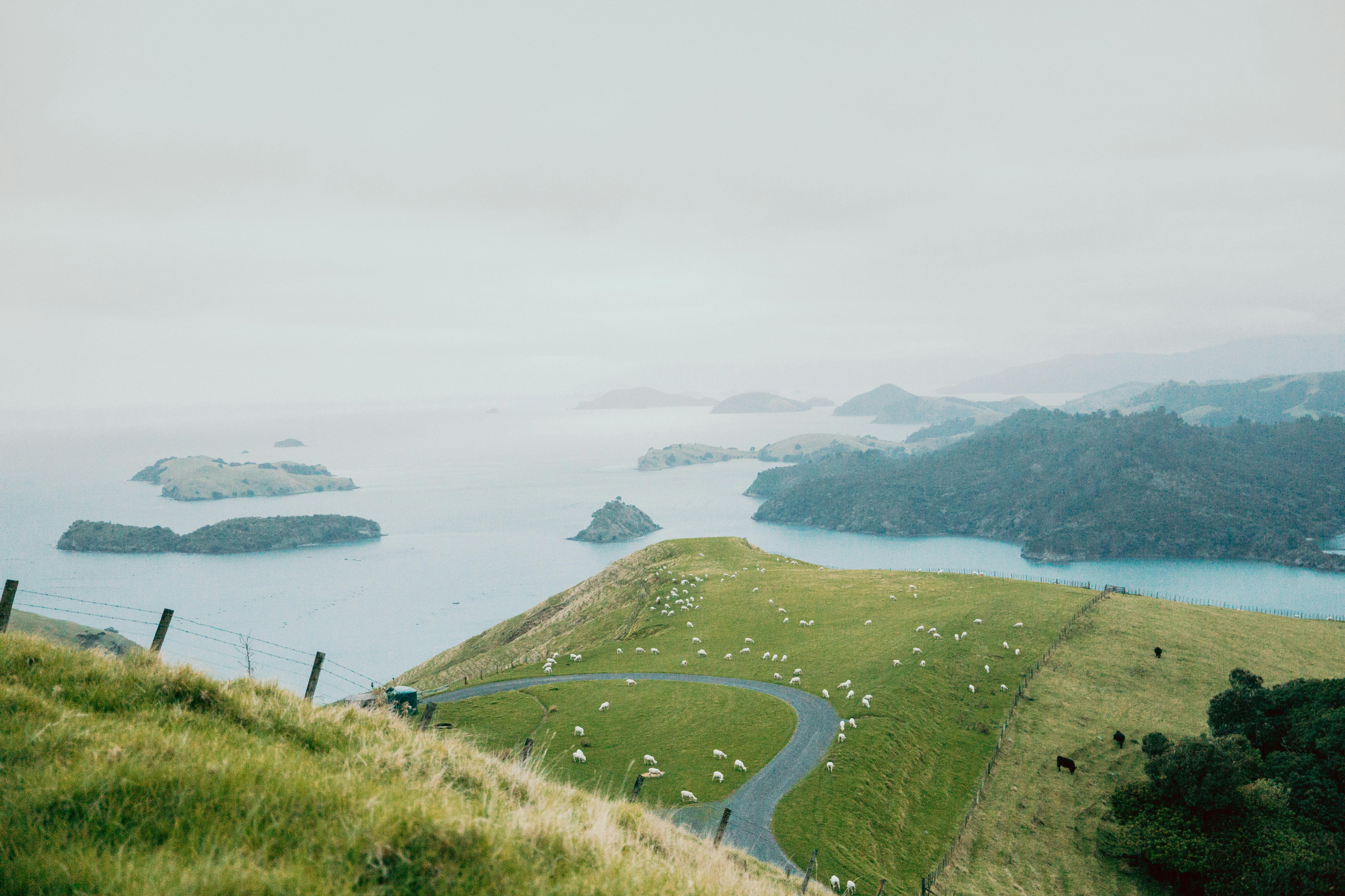 general travel new zealand — Photo by Petra Reid on Pexels