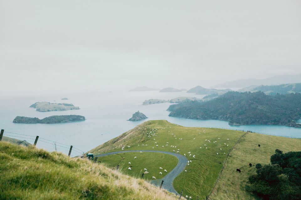 in Neuseeland