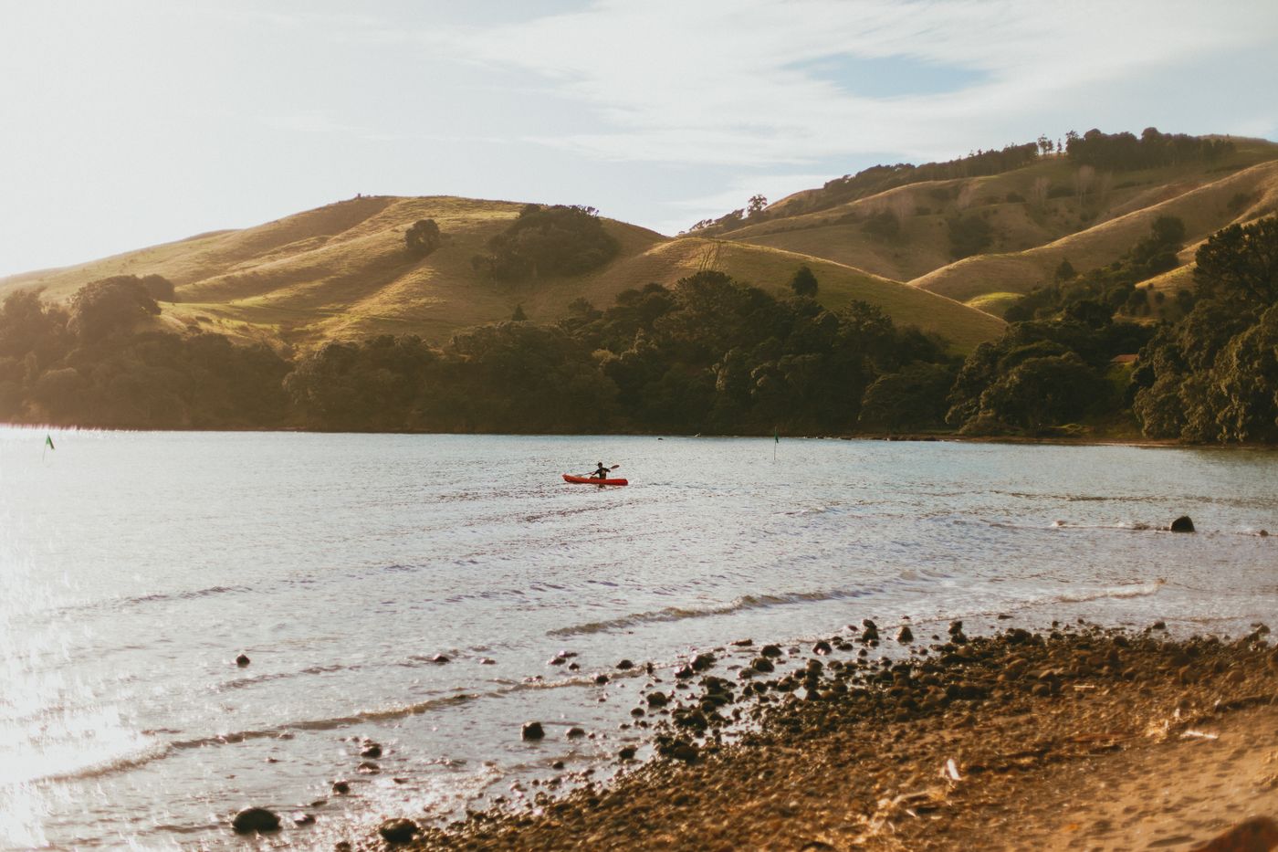 NMN supplements New Zealand Auckland Wellington