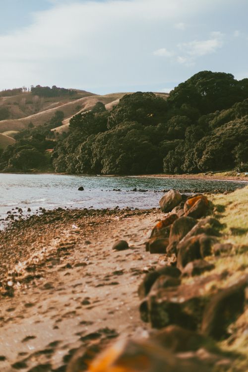 Free Pristine natural beach view at Coromandel Peninsula, showcasing New Zealand's stunning coastline. Stock Photo