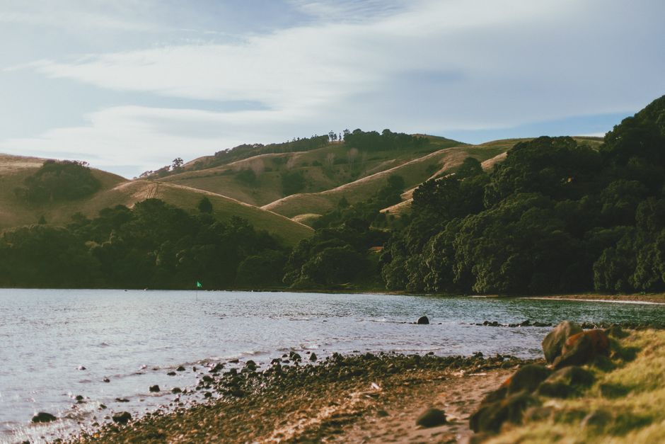 Otra foto de Coromandel Peninsula