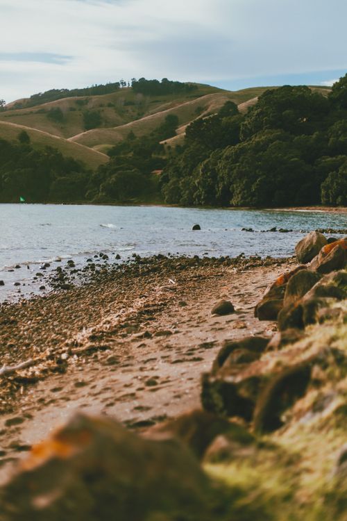 Free Tranquil beach scene with rolling hills in Coromandel, New Zealand, perfect for nature lovers. Stock Photo
