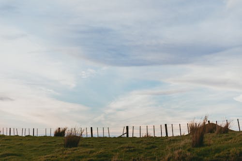 Gratis stockfoto met akkerland, boerderij, buiten