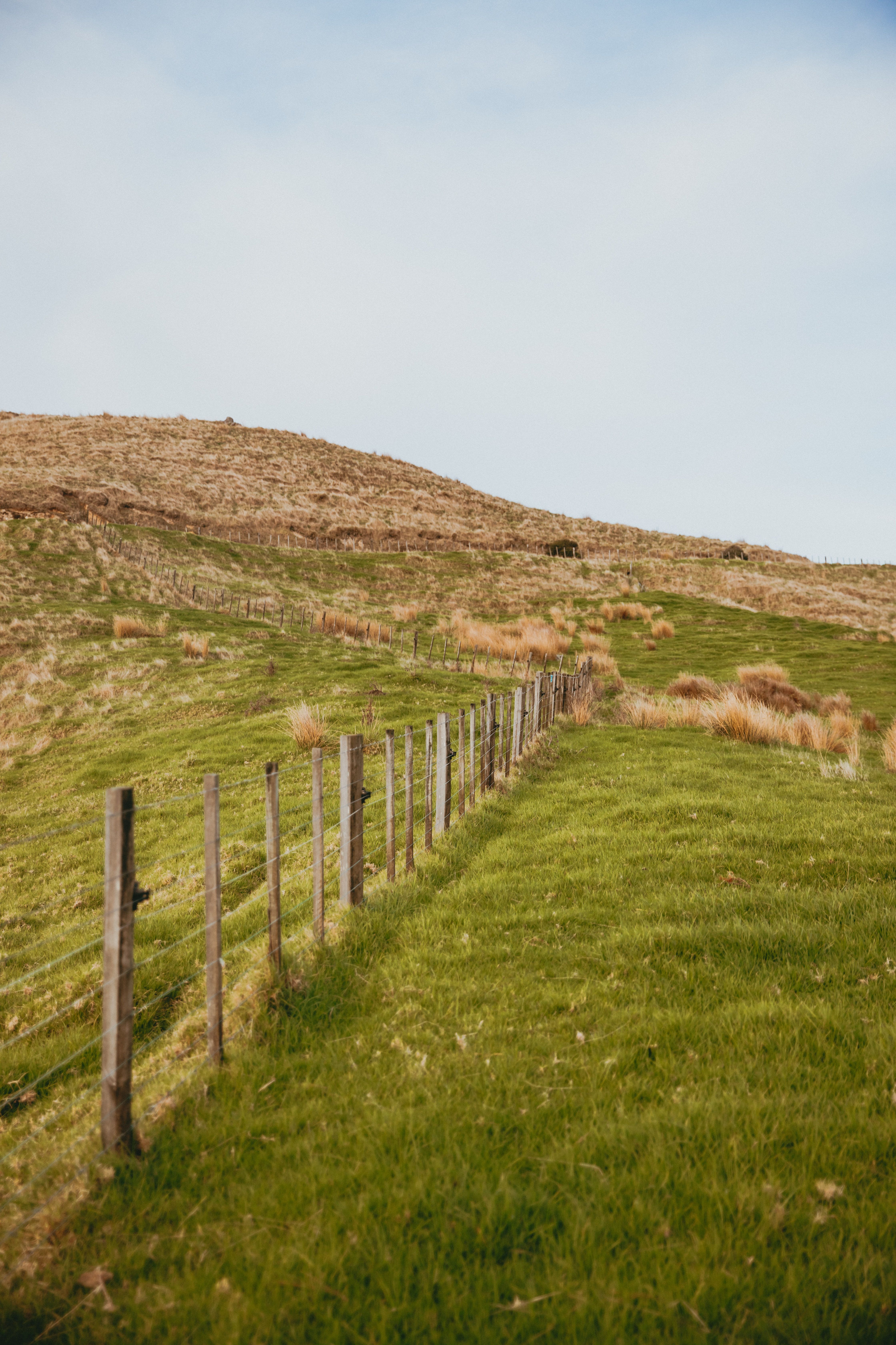 Fence on Field at Coromandel Peninsula in New Zealand · Free Stock Photo