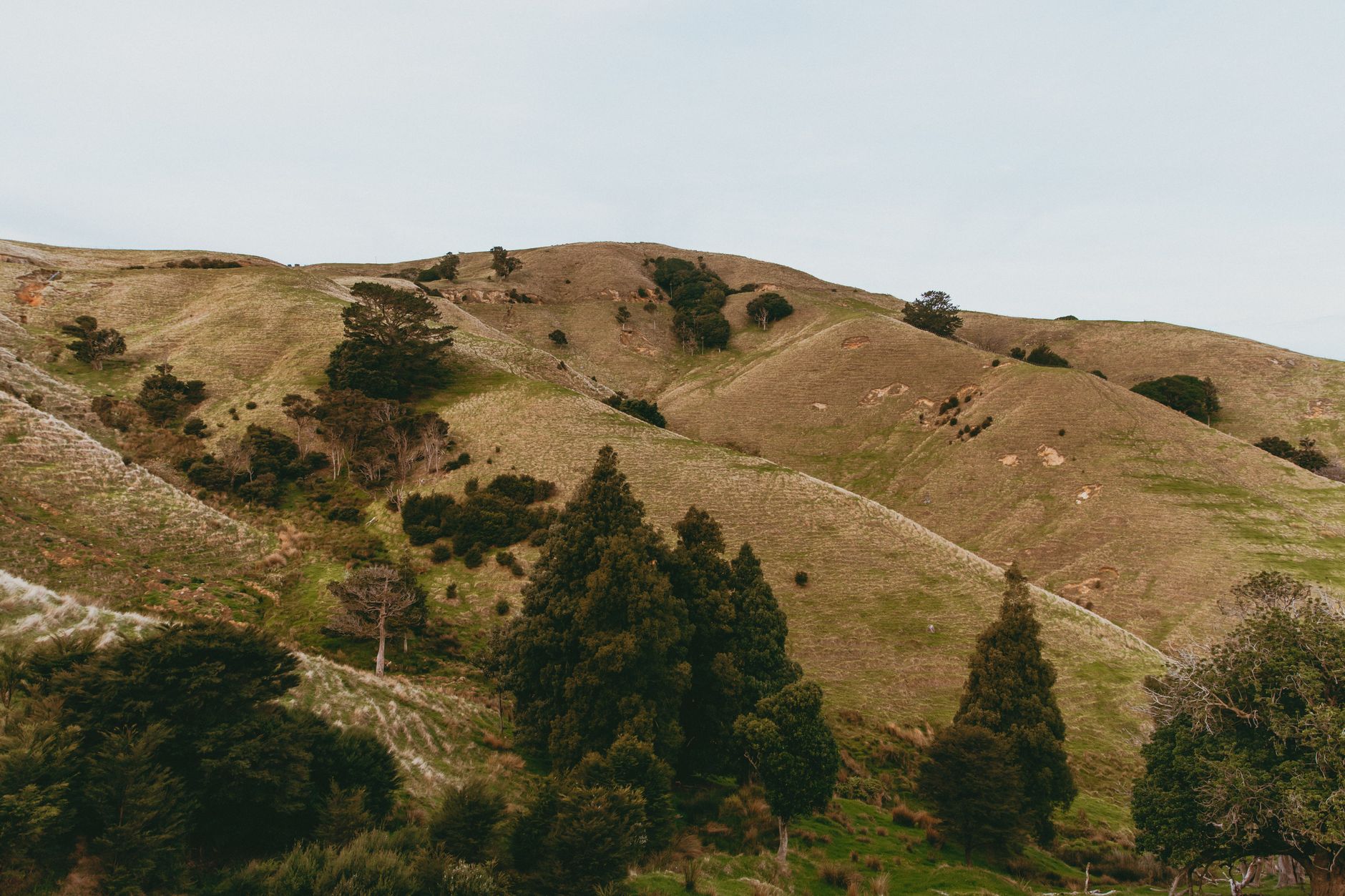 Popular sights in Coromandel Landmarks in Coromandel