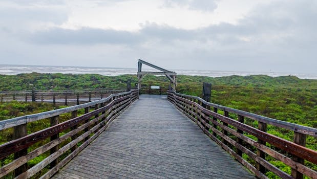 一条风景优美的木制步道，通向多云天空下那片宁静而郁郁葱葱的海洋